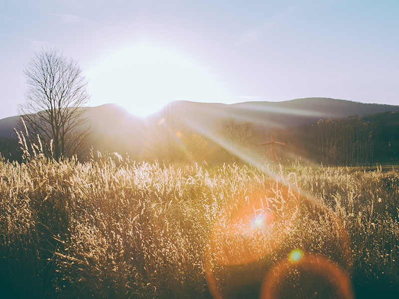 mmeheitz_sun_drying