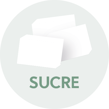 PICTOS SITE INTERNET_SUCRE